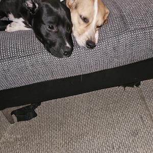 Fundraising Page: Sally Gonzalez